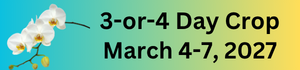 march 2027 in Monterey