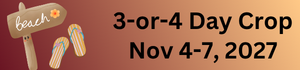 November 2027 Seaside